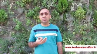 مهمترین راز موفقیت صادرکنندگان پولساز که تا حالا نشنیدی؟