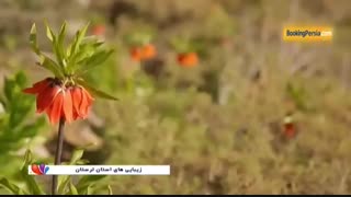 لرستان سرزمین زیبای اقوام لر در دامنه زاگرس - بوکینگ پرشیا