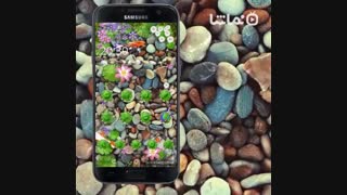 3D Koi Fish Theme and Animated Ripple Effect