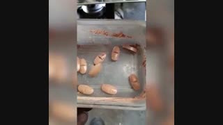 دستگاه قرص ساز | خط تولید قرص خط دار | فن آوران صادق اسپادانا