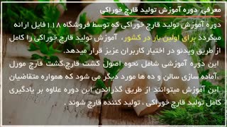 پرورش قارچ خوراکی دکمه ای در خاک اره در منزل