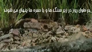 سمی بودن زهر عقرب به چه عواملی وابسته است؟