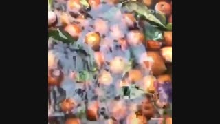 آب ازگیل یا آب کونوس