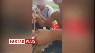 خوردن ماهی زنده در ویتنام