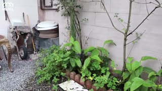 خرید خانه ویلایی در بندرانزلی