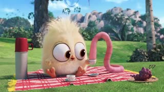 Angry birds انیمیشن کوتاه و با مزه