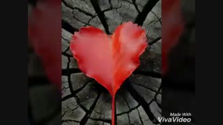 من به آغوش گرم خانواده ی نما بازگشتم