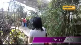 باغ وحش پراگ زیستگاه جانورانی که دوستشان داریم - بوکینگ پرشیا