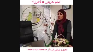 خواص تخم شربتی