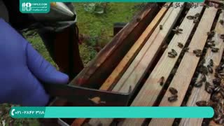 آموزش زنبورداری معرفی ابزار زنبورداری