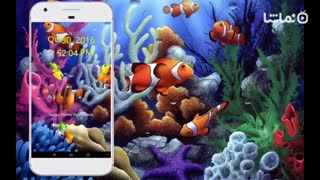Koi Fish Live Wallpapers