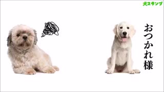 Dog Stickers Free