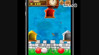 Chicken Tap