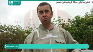 آموزش شروع زنبورداری برای مبتدیان