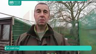 دوره آموزش زنبورداری به صورت کامل