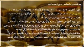 زنبورداری _ روش بررسی و تشخیص بیماری