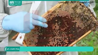 آموزش زنبورداری با فیلم _ دوبله فارسی