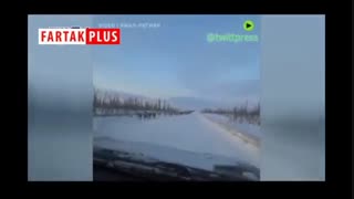 لحظه عبور ۳۰۰۰ گوزن از وسط بزرگراهی در سیبری!