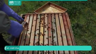 آموزش زنبورداری _ معرفی ابزار