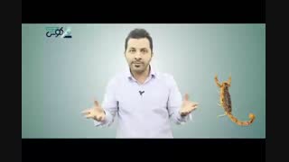 پشت پرده پرورش عقرب خریداری تضمینی سم و اموزش