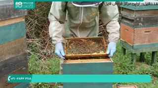 دانلود رایگان فیلم آموزش زنبورداری