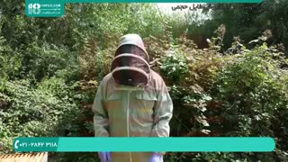 فیلم آموزشی بازدید از کلونی زنبور عسل