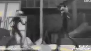 اهنگ برای کت نوار