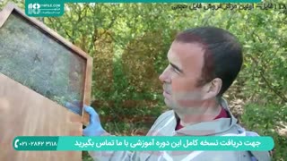 زنبورداری مدرن در ایران - 118فایل
