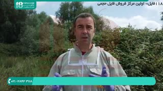 فیلم تخصصی پرورش ملکه زنبور عسل برای مبتدیان