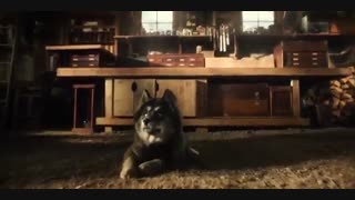 تریلر فیلم Togo