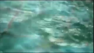 وفات حضرت فاطمه معصومه (س) تسلیت باد.