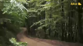 خاطرات خانه متروک