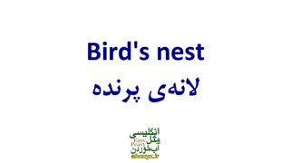 بیان درست مالکیت با و بدون آپاستروفی در انگلیسی