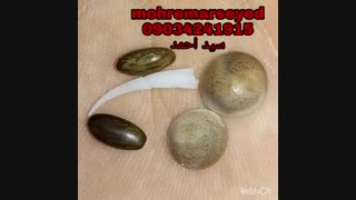 فروش مهره مار و خر مهره