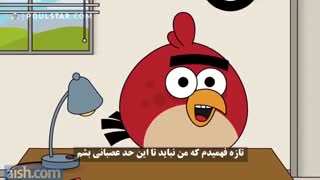 Angry birds
