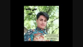 دانلود آهنگ جدید علی یگانه به نام گله