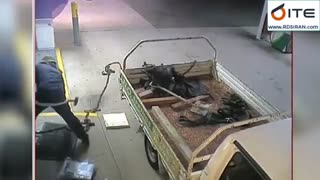 سرقت ATM به سبک پت و مت - عجیب اما واقعی