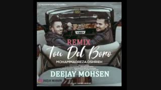 ریمیکس تریبال تو دل برو محمدرضا عشریه دیجی محسن Remix Tou Del Boro - Mohammadreza Oshrieh dj Mohsen