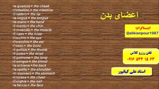 آموزش 100 % تضمینی زبان ایتالیایی و آمادگی جهت آزمون استرنی (استاد 10 زبانه استاد علی کیانپور)