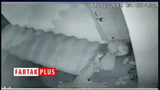 دریده شدن سگ نگهبان توسط پلنگ