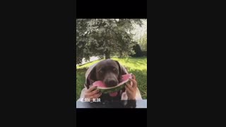 صداگذاری خنده دار درمورد شب یلدا با لهجه گیلکی توسط یاسین بابائی