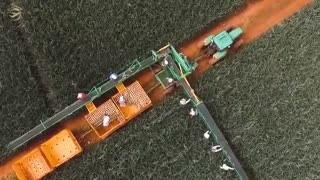 کاستاریکا ، موسسه مهاجرت تحصیلی | go2tr