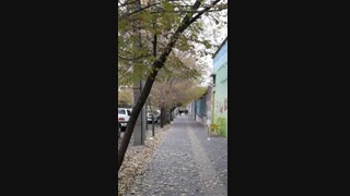 کلیپ دکلمه تصویری غزل عاشقانه غمگین فارسی با شعر و صدای معین تبریزی