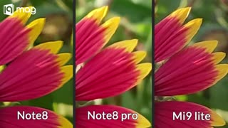 مقایسه فوق العاده و همه جانبه ردمی نوت ۸، می ۹ لایت و ردمی نوت ۸ پرو