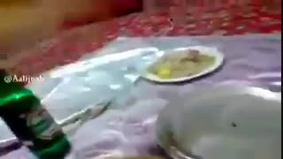کباب دانشجویی