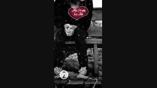 استوری اینستاگرام