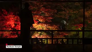 شهر کیوتو (ژاپن) - Kyoto City