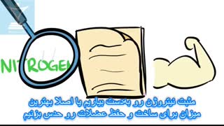 آیا به پروتئین بیشتری نیاز داریم؟