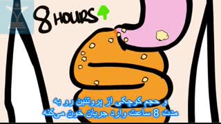 فرق بین پروتئین وی و کازئین در چیست؟