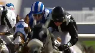 Dubai World Cup 2019- Race 1